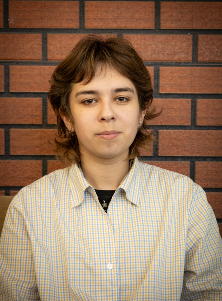 Responsabil IT Logistica